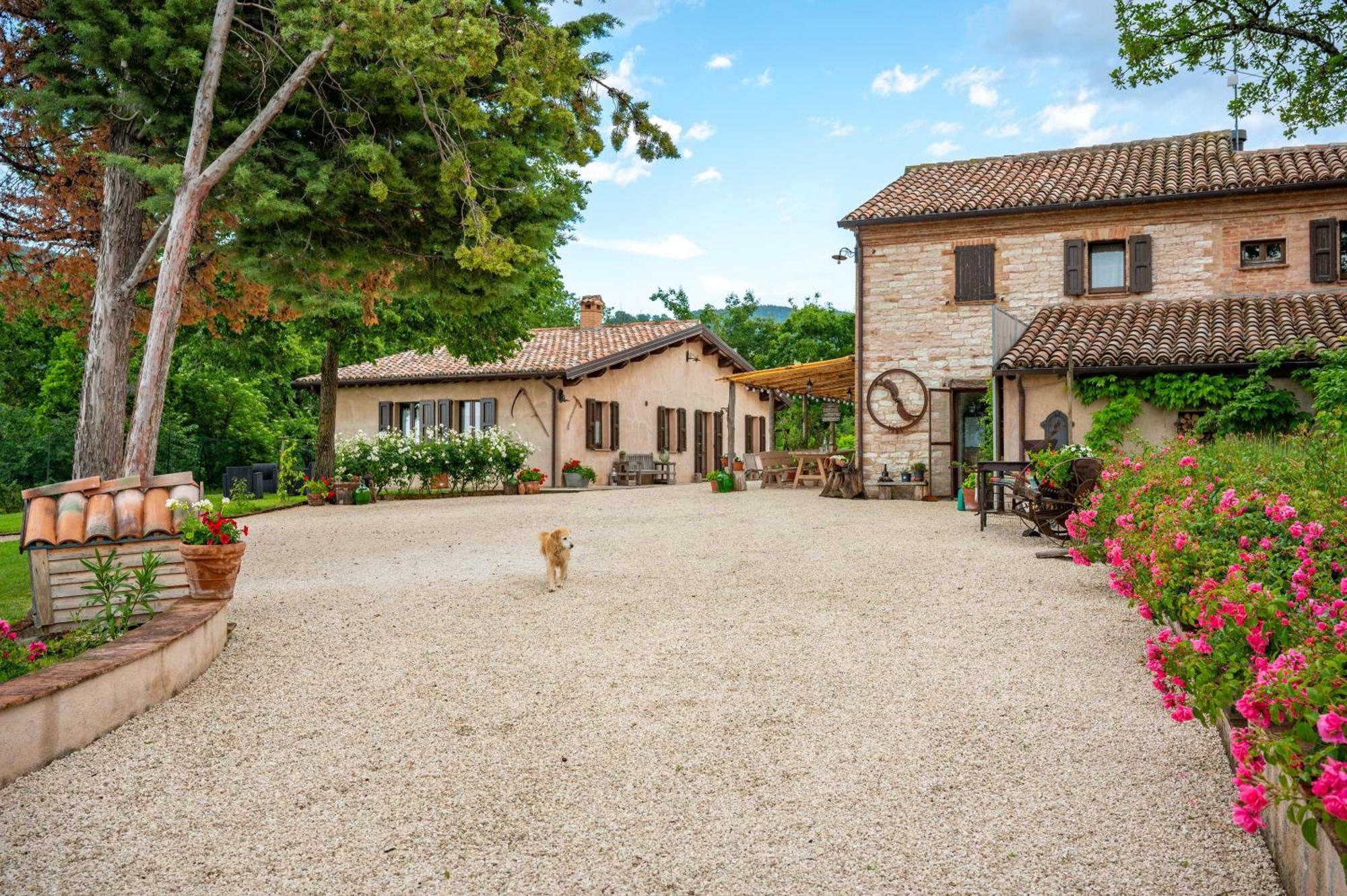Agriturismo Il Castellaro Sassoferrato Exterior photo